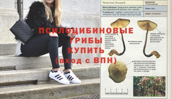 mdma Россошь