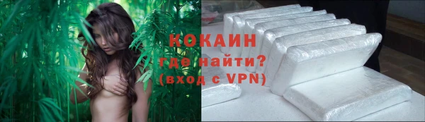 apvp Рославль