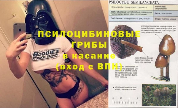 шишки Ростов