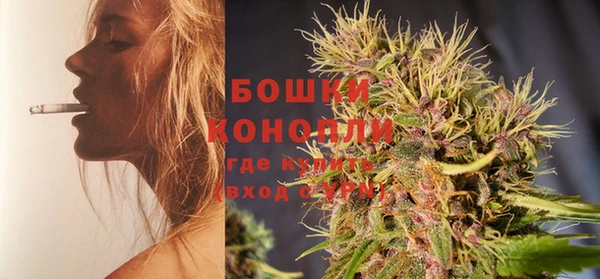 apvp Рославль