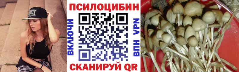 Псилоцибиновые грибы Magic Shrooms где найти наркотики Котово